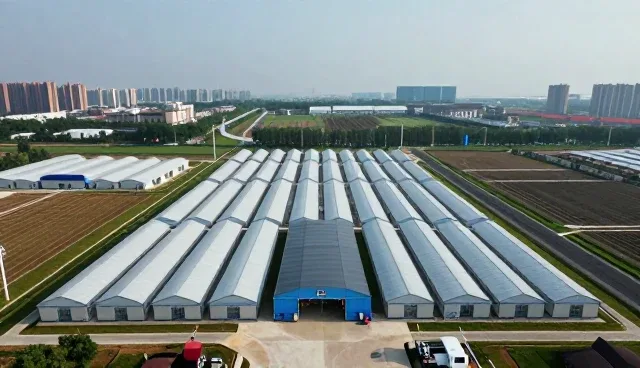 运维服务如何支撑多场景业务稳定运行